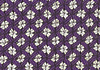 紫×白